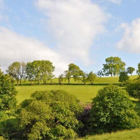 Llansannan Hendre Aled Farmhouse מראה חיצוני תמונה