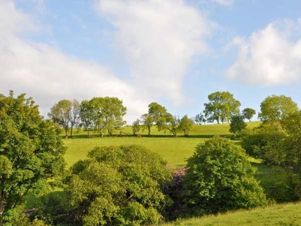 Llansannan Hendre Aled Farmhouse מראה חיצוני תמונה